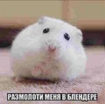 1651497975417.png